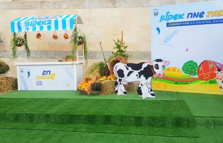 חוגגים שבועות בעיר 📸