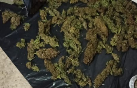 מעבדה לגידול סמים נחשפה בעיר