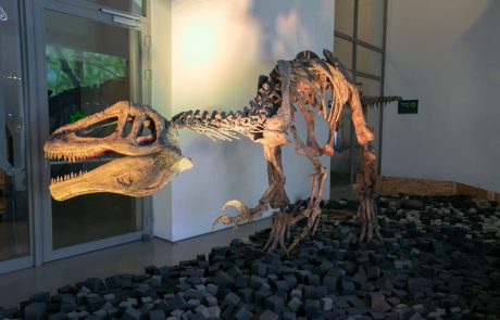 תרבות בזמן קורונה – פארק קרסו למדע