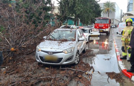 נזקי הסערה: עץ קרס על רכב