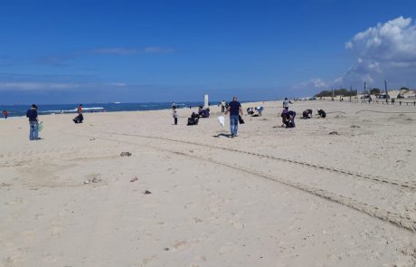 יום כדור הארץ הבינלאומי