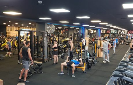 עצמאות באייקון: מתאמנים בחינם