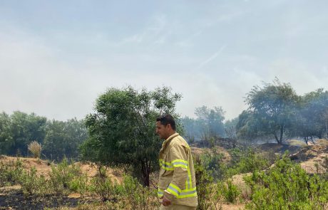 שריפות פרצו באזור הדרומי של העיר