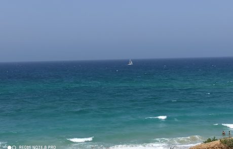 האשקלונים חוזרים לים 📷