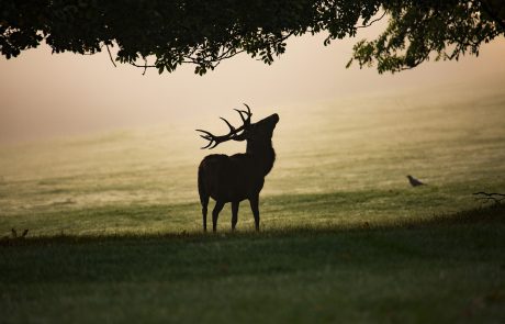 סכנה בדרכים 📸